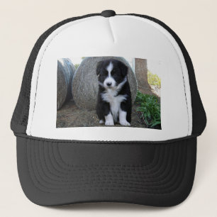 Boné Border Collie Puppy Fazenda Life,