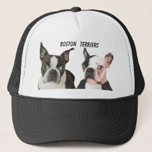 BONÉ BOSTON TERRIER-CAP