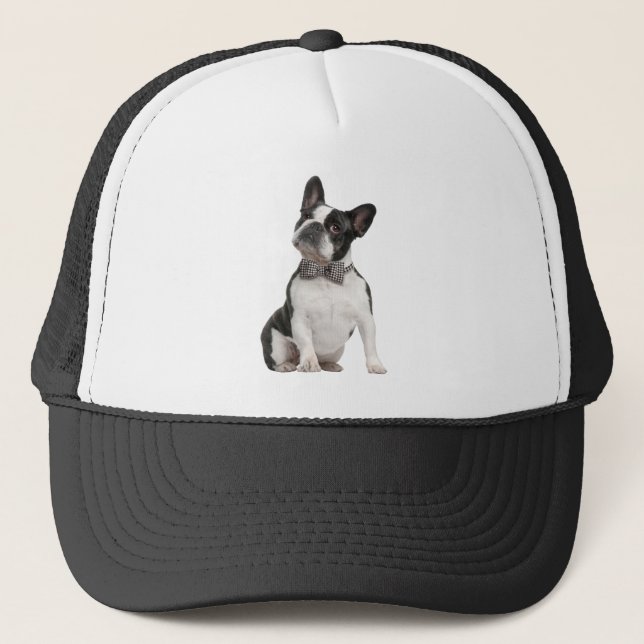 Boné Boston Terrier Dog Pet Animal Trucker Hat (Frente)
