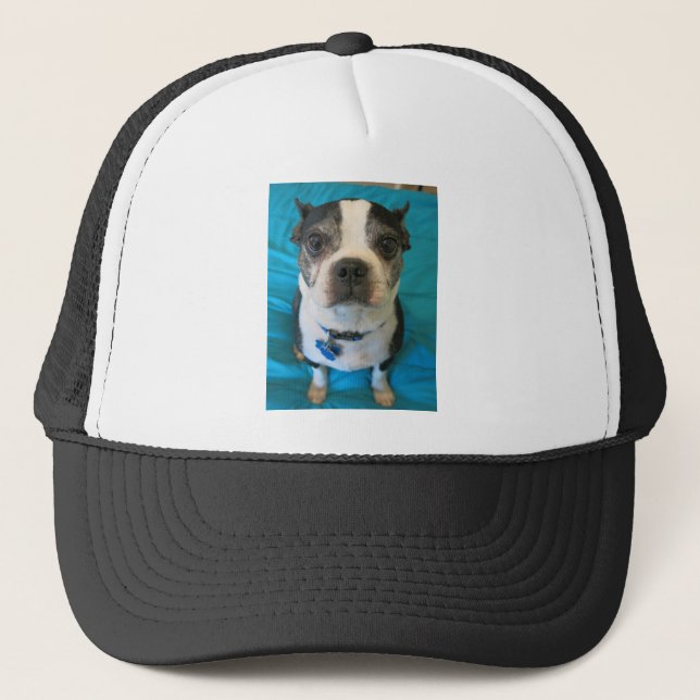 Boné Boston Terrier que senta-se em uma cama (Frente)