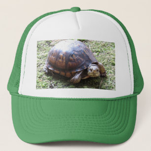 Boné Box Turtle - Mossy Path