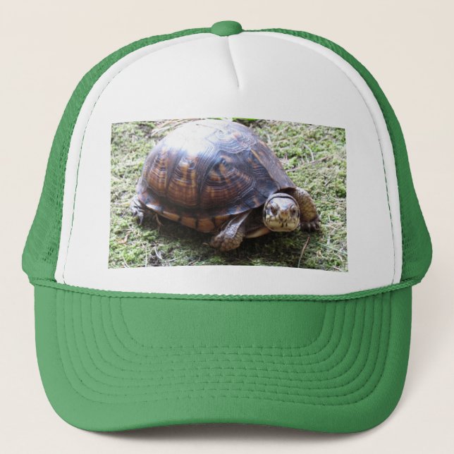 Boné Box Turtle - Mossy Path (Frente)