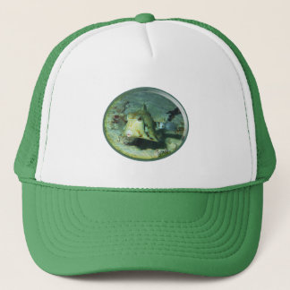 Boné Boxfish - tão Fofo! Design Fotográfico de Cowfish