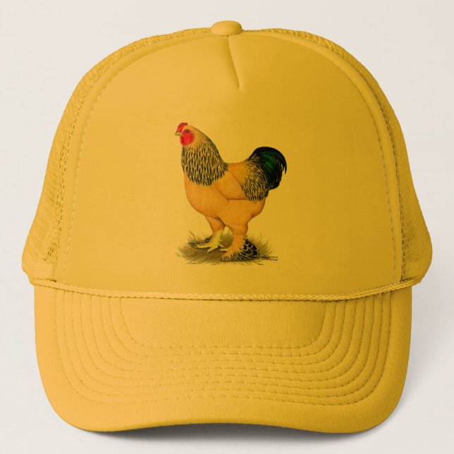 Boné Brahma: Buff Rooster (Frente)