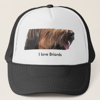 Boné Briard