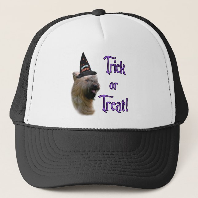 Boné Briard Trick (Frente)