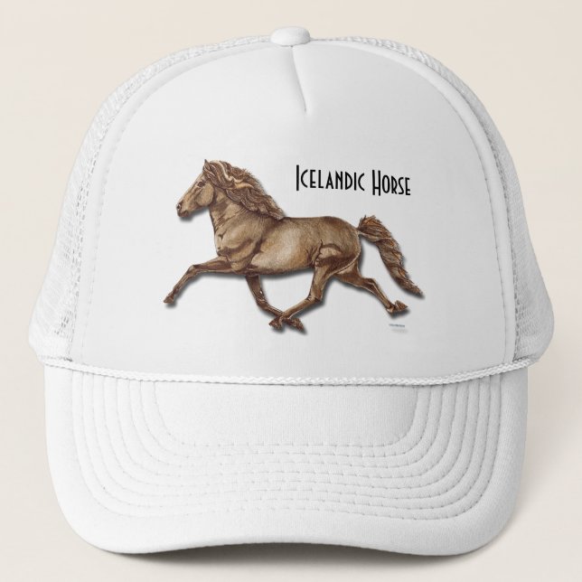 Boné Bronze islandês (Frente)