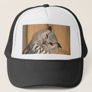 Boné Bubo bubo sibiricus