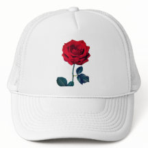 BuddhaToday V1 - #1 🌹 