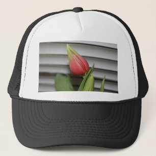 Boné Budding Tulip