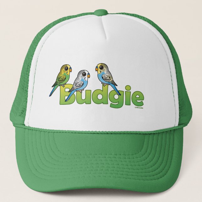 BONÉ BUDGIE (Frente)
