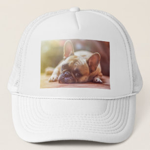 Boné buldogue francês