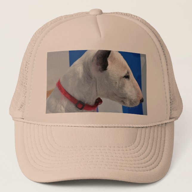 Boné bull-terrier-.png (Frente)
