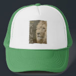 Boné Cabeça De Leão De Pop de Arte Moderna Elegante, Br<br><div class="desc">Cabeça De Leão De Leão De Pop Modelo,  Branco E Verde,  Elegante,  Adicionar Logotipo Foto Do Trucker Basic.</div>