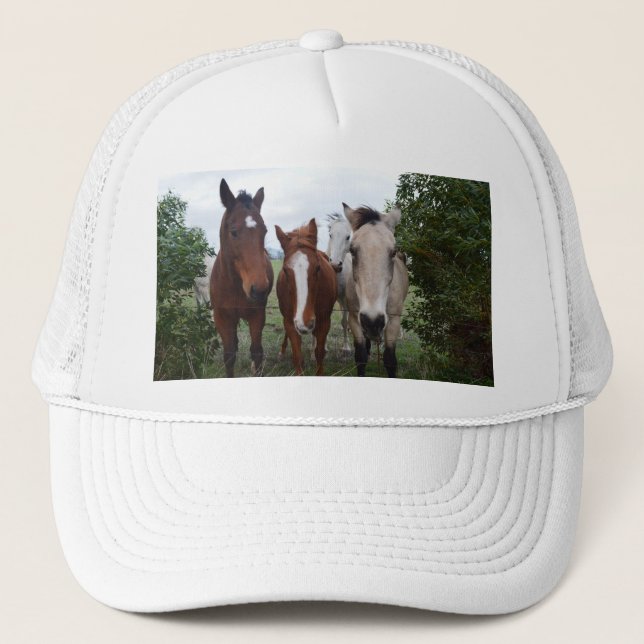 Boné Cabelo Frisky, Quatro Campos De Cavalo, (Frente)