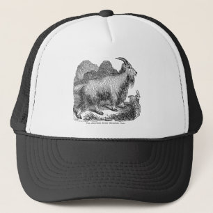 Boné Cabra de montanha rochosa americana das cabras dos