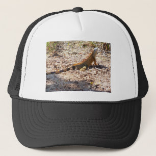 Boné Caças alaranjadas da iguana