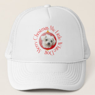 Boné Cachorro Branco de Natal Maltês