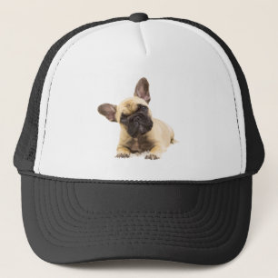 Boné Cachorro Francês Pet Animal Custom Trucker Hat