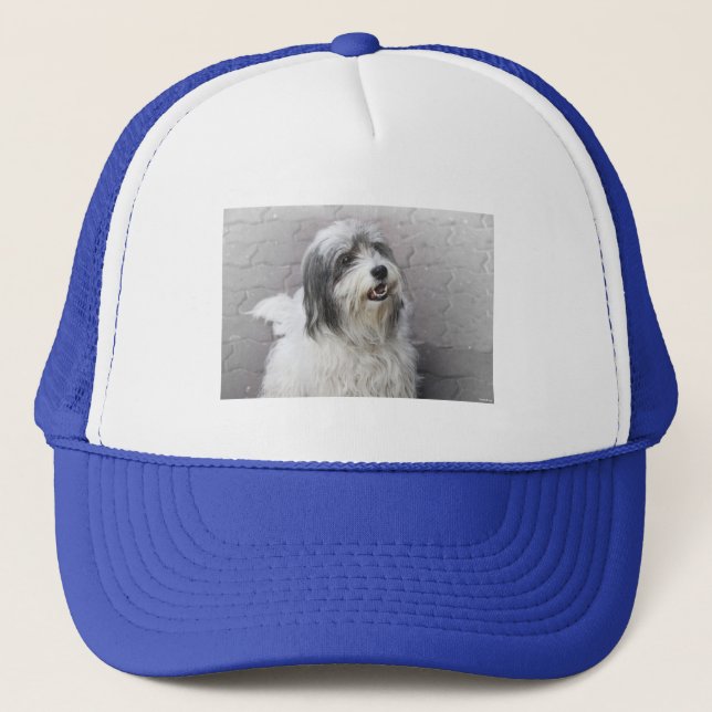 Boné Cachorro Hat (Frente)