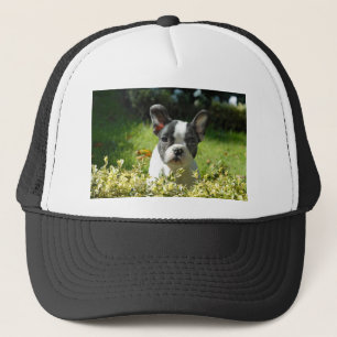 Boné Cachorro Negro e Branco