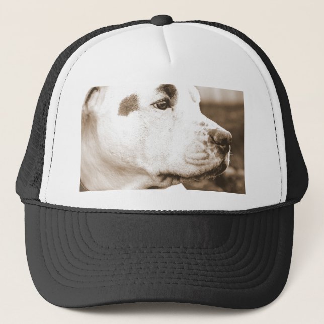 Boné cachorro pitbull cor sépia ódio ato não raça (Frente)