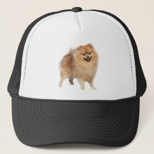 Boné Cachorro Pomeraniano Pet Animal Custom Trucker Hat