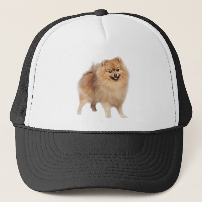 Boné Cachorro Pomeraniano Pet Animal Custom Trucker Hat (Frente)