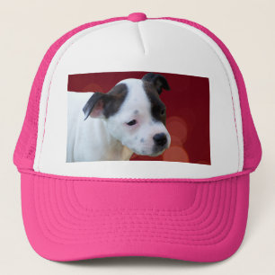 Boné Cachorro Preto E Branco,