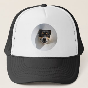 Boné Cachorro sorridente engraçado