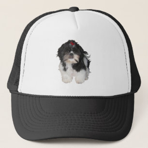 Boné Cachorros Filhotes Shitzu Shih Tzu