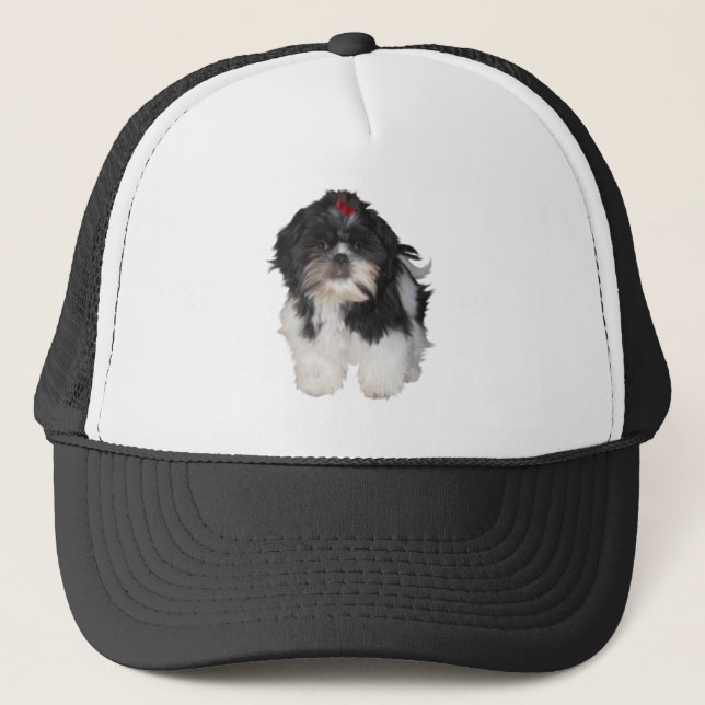 Boné Cachorros Filhotes Shitzu Shih Tzu (Frente)