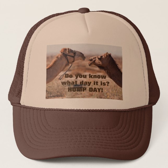 Boné Camelos Hump Day (Frente)