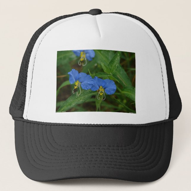 Boné Camiseta Flor do Dia Asiática Azul Roupas & Presen (Frente)