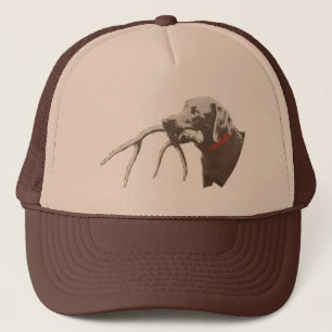 Boné Cão com antler dos cervos
