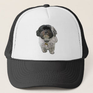 Boné Cão de Havanese