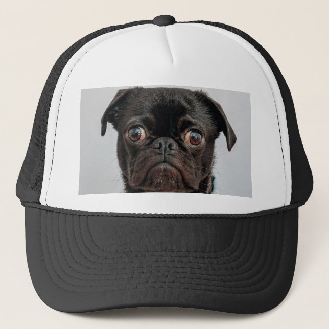 Boné cão de negócios (Frente)