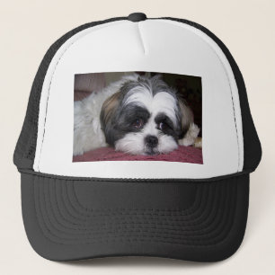Boné Cão de Shih Tzu