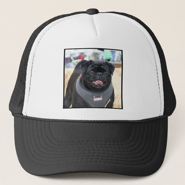 Boné Cão preto do Pug (Frente)