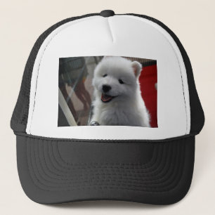 Boné Cão Samoyed