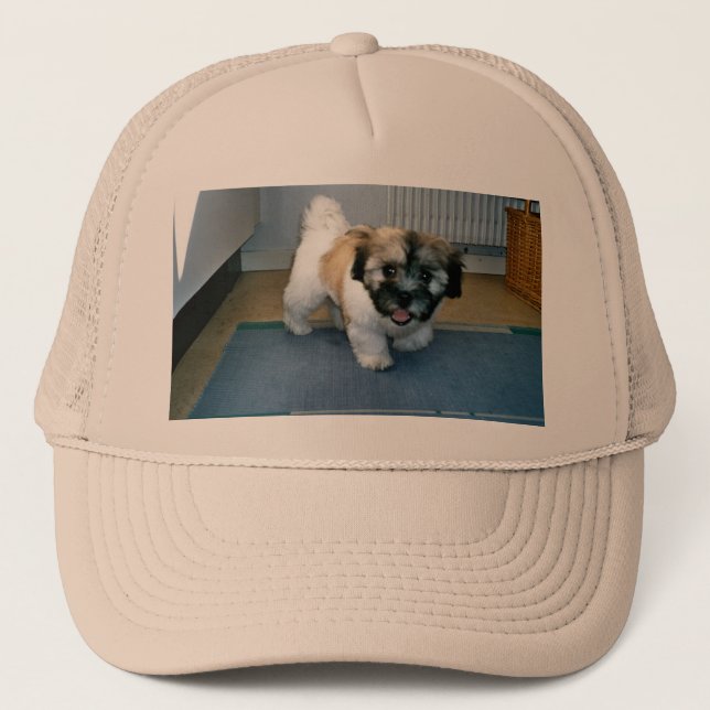 Boné cãozinho 2.png (Frente)