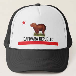 Boné Capivara Republic - NarliStuff