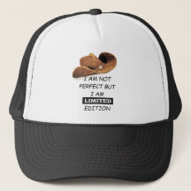 Caps Elegantes: Eleve Seu Estilo!