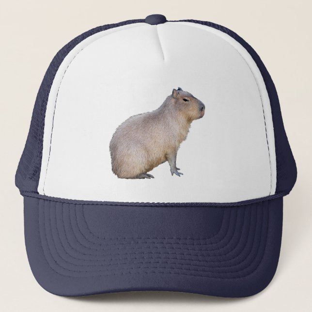 Boné Capybara (Frente)