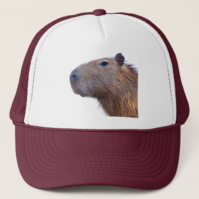 Boné Capybara (Frente)