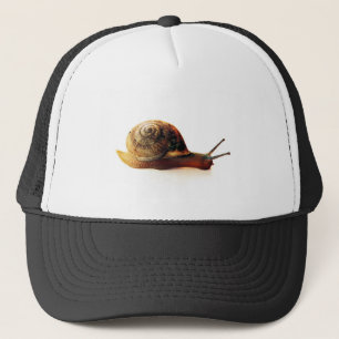 Boné Caracol