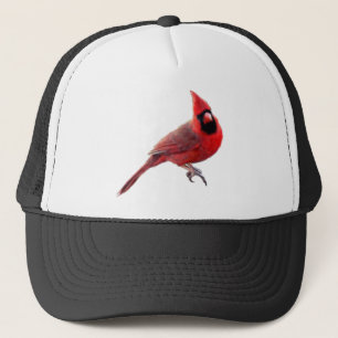 Boné Cardinals