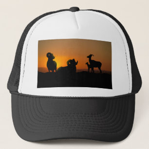 Boné Carneiros de Bighorn