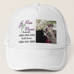 Boné Cat on a hat...