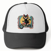 Cavaleiro de Gatos legal